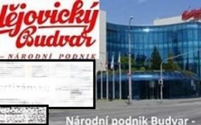 NÁRODNÝ PODNIK dnes – kap.4.3.3. z knihy